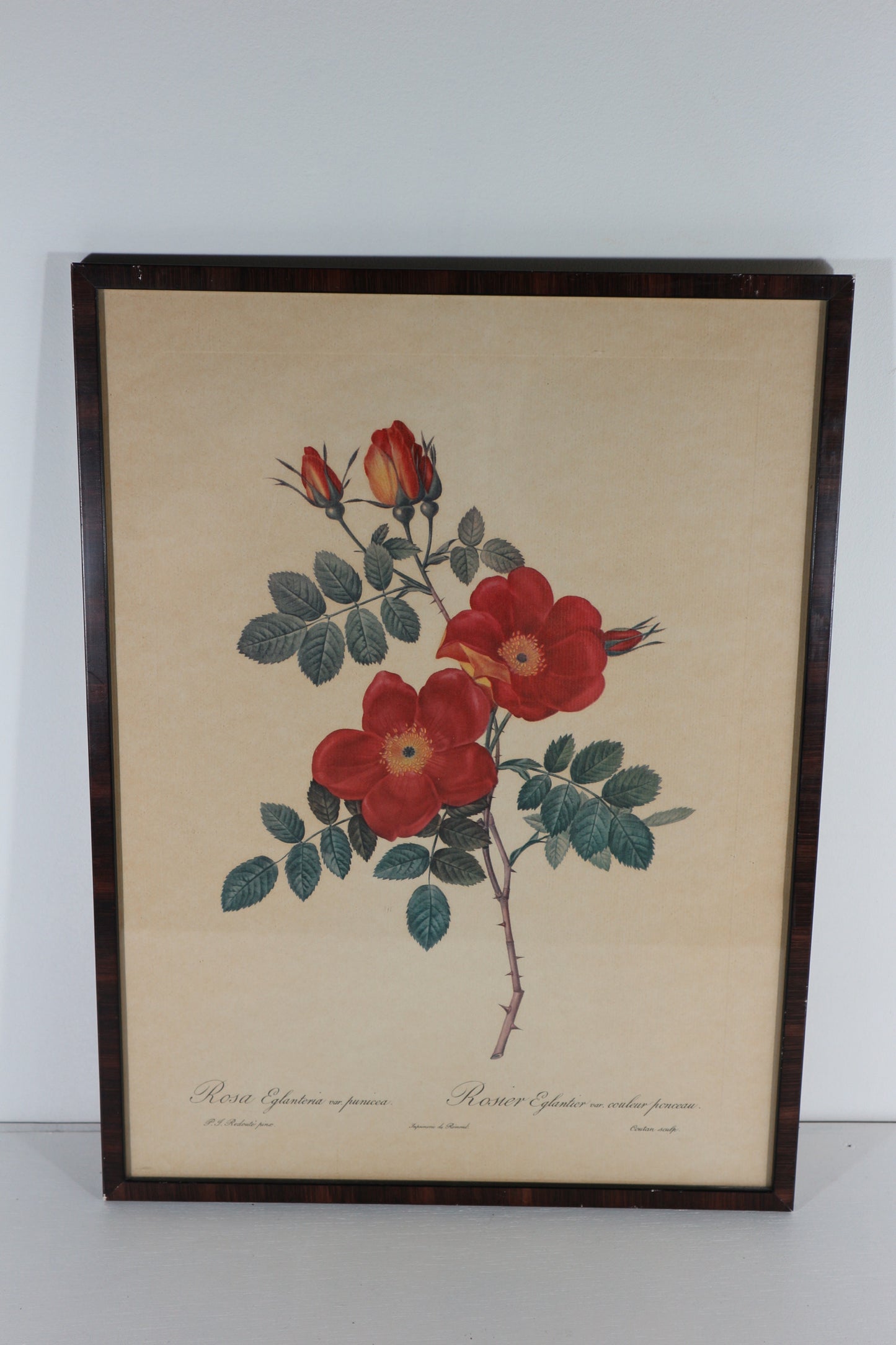 Lijst bloemen