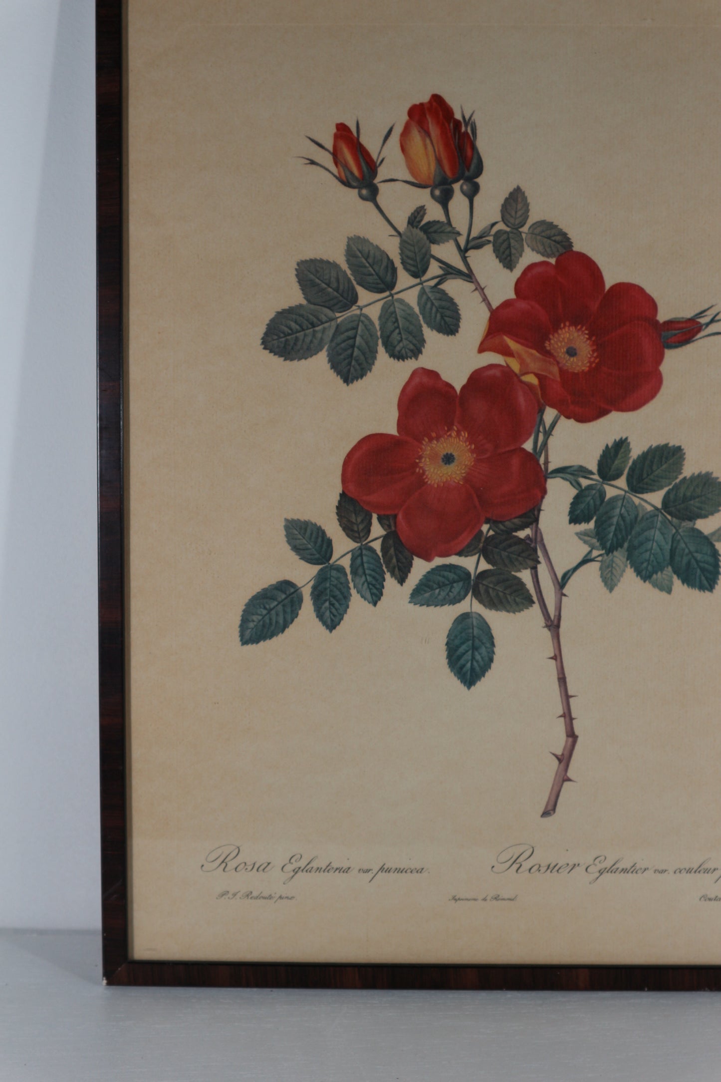 Lijst bloemen