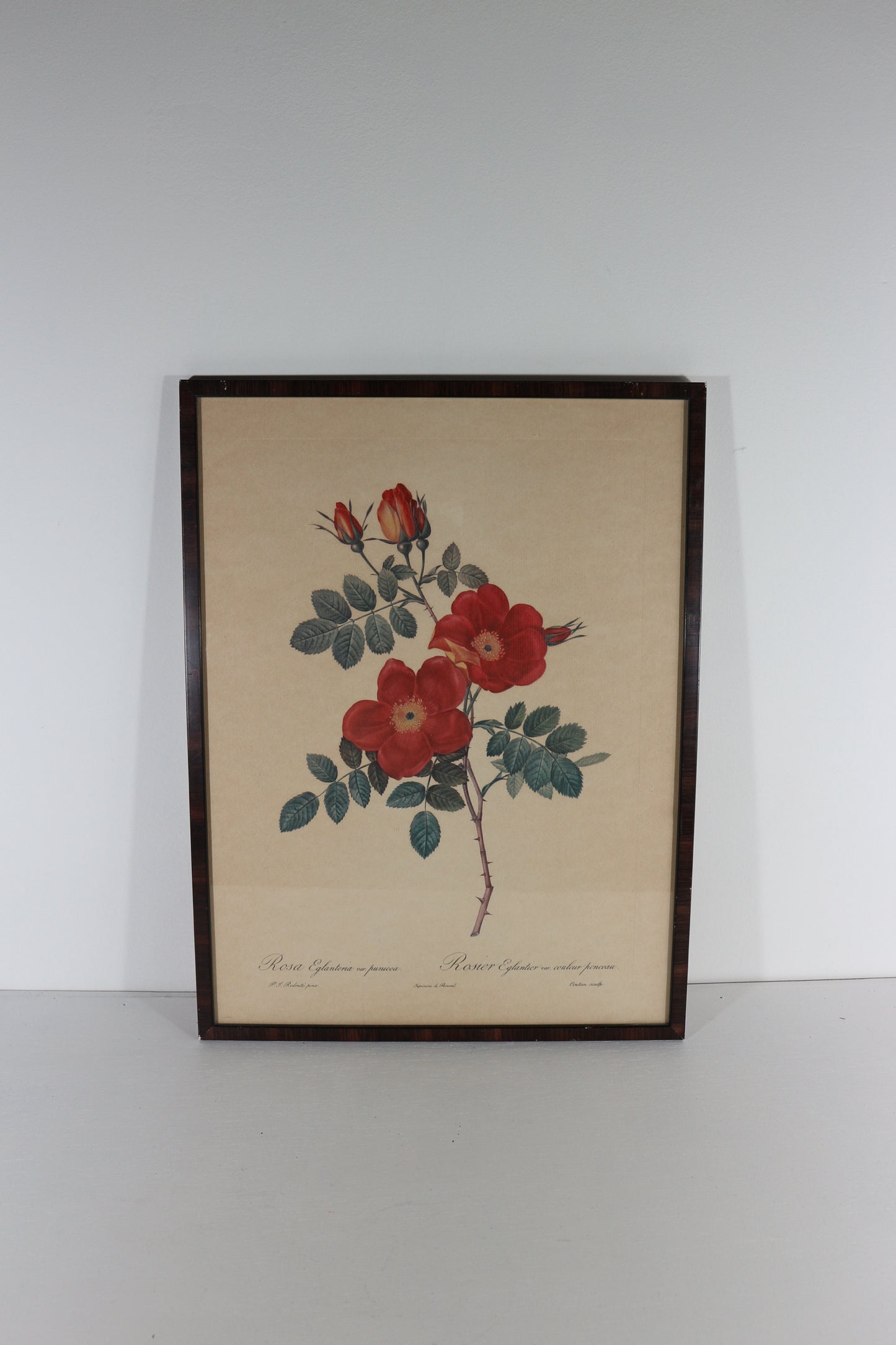 Lijst bloemen
